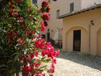 2008069239  Betty & Darrel Hagberg Al & Diane Brandhorst - Italy