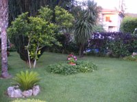 2008069291  Betty & Darrel Hagberg Al & Diane Brandhorst - Italy