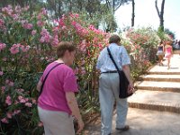 2008065380  Betty & Darrel Hagberg  Al & Diane Brandhorst Italy