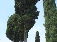 2008065390  Betty & Darrel Hagberg  Al & Diane Brandhorst Italy