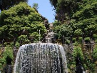 2008065956  Betty & Darrel Hagberg  Al & Diane Brandhorst Italy