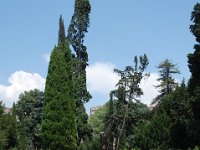 2008065992  Betty & Darrel Hagberg  Al & Diane Brandhorst Italy