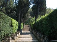 2008065999  Betty & Darrel Hagberg  Al & Diane Brandhorst Italy