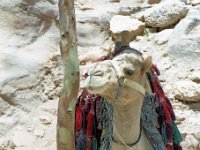1997071612 Petra - Jordan - July 27
