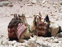 1997071618 Petra - Jordan - July 27