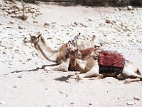 1997071628 Petra - Jordan - July 27