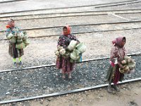 2006042077 Darrel & Betty Hagberg - Copper Canyon - Mexico