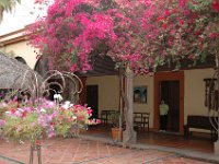 2006042139 Darrel & Betty Hagberg - Copper Canyon - Mexico