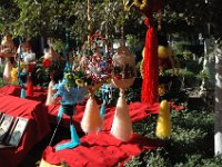 2006042193 Darrel & Betty Hagberg - Copper Canyon - Mexico