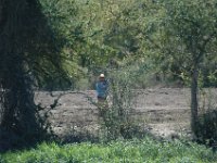 2006042239 Darrel & Betty Hagberg - Copper Canyon - Mexico