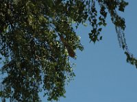 2006042240 Darrel & Betty Hagberg - Copper Canyon - Mexico