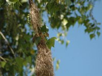 2006042243 Darrel & Betty Hagberg - Copper Canyon - Mexico