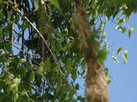 2006042244 Darrel & Betty Hagberg - Copper Canyon - Mexico