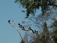 2006042247 Darrel & Betty Hagberg - Copper Canyon - Mexico