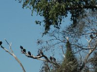 2006042248 Darrel & Betty Hagberg - Copper Canyon - Mexico