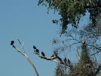 2006042249 Darrel & Betty Hagberg - Copper Canyon - Mexico