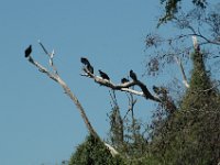 2006042250 Darrel & Betty Hagberg - Copper Canyon - Mexico