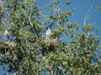 2006042255 Darrel & Betty Hagberg - Copper Canyon - Mexico