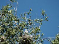 2006042257 Darrel & Betty Hagberg - Copper Canyon - Mexico