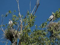 2006042258 Darrel & Betty Hagberg - Copper Canyon - Mexico