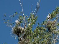 2006042259 Darrel & Betty Hagberg - Copper Canyon - Mexico