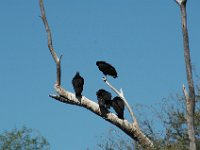 2006042261 Darrel & Betty Hagberg - Copper Canyon - Mexico