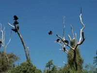 2006042263 Darrel & Betty Hagberg - Copper Canyon - Mexico