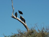 2006042265 Darrel & Betty Hagberg - Copper Canyon - Mexico