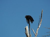 2006042267 Darrel & Betty Hagberg - Copper Canyon - Mexico