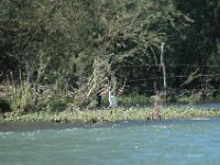 2006042271 Darrel & Betty Hagberg - Copper Canyon - Mexico