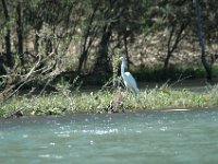 2006042273 Darrel & Betty Hagberg - Copper Canyon - Mexico