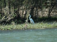 2006042274 Darrel & Betty Hagberg - Copper Canyon - Mexico