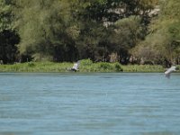2006042282 Darrel & Betty Hagberg - Copper Canyon - Mexico