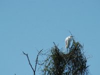 2006042283 Darrel & Betty Hagberg - Copper Canyon - Mexico