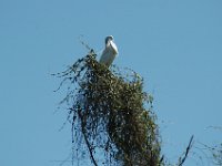 2006042289 Darrel & Betty Hagberg - Copper Canyon - Mexico