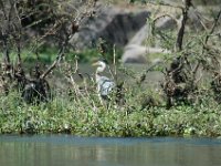 2006042291 Darrel & Betty Hagberg - Copper Canyon - Mexico