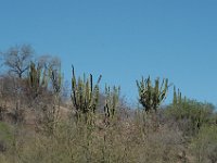 2006042296 Darrel & Betty Hagberg - Copper Canyon - Mexico