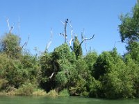 2006042304 Darrel & Betty Hagberg - Copper Canyon - Mexico