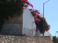 2006042317 Darrel & Betty Hagberg - Copper Canyon - Mexico