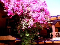 2006042326 Darrel & Betty Hagberg - Copper Canyon - Mexico