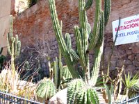 2006042346 Darrel & Betty Hagberg - Copper Canyon - Mexico