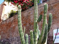 2006042347 Darrel & Betty Hagberg - Copper Canyon - Mexico