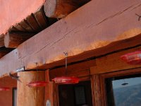 2006042520 Darrel & Betty Hagberg - Copper Canyon - Mexico