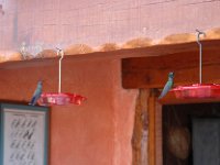 2006042569 Darrel & Betty Hagberg - Copper Canyon - Mexico