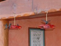 2006042570 Darrel & Betty Hagberg - Copper Canyon - Mexico