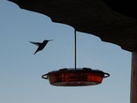 2006042572 Darrel & Betty Hagberg - Copper Canyon - Mexico