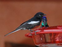 2006042575 Darrel & Betty Hagberg - Copper Canyon - Mexico
