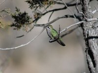 2006042585 Darrel & Betty Hagberg - Copper Canyon - Mexico