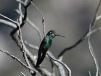 2006042586 Darrel & Betty Hagberg - Copper Canyon - Mexico