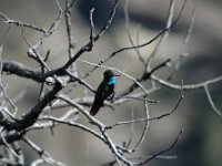 2006042587 Darrel & Betty Hagberg - Copper Canyon - Mexico